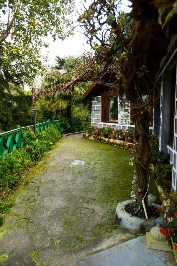 The Hive Cottage Nainital Ngoại thất bức ảnh